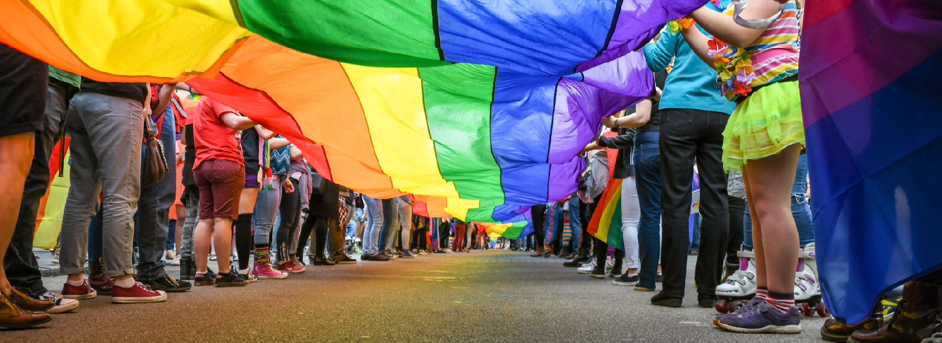 Imagen noticia ‘Diversidad, derechos y saberes LGBTIQ+ en la Academia’