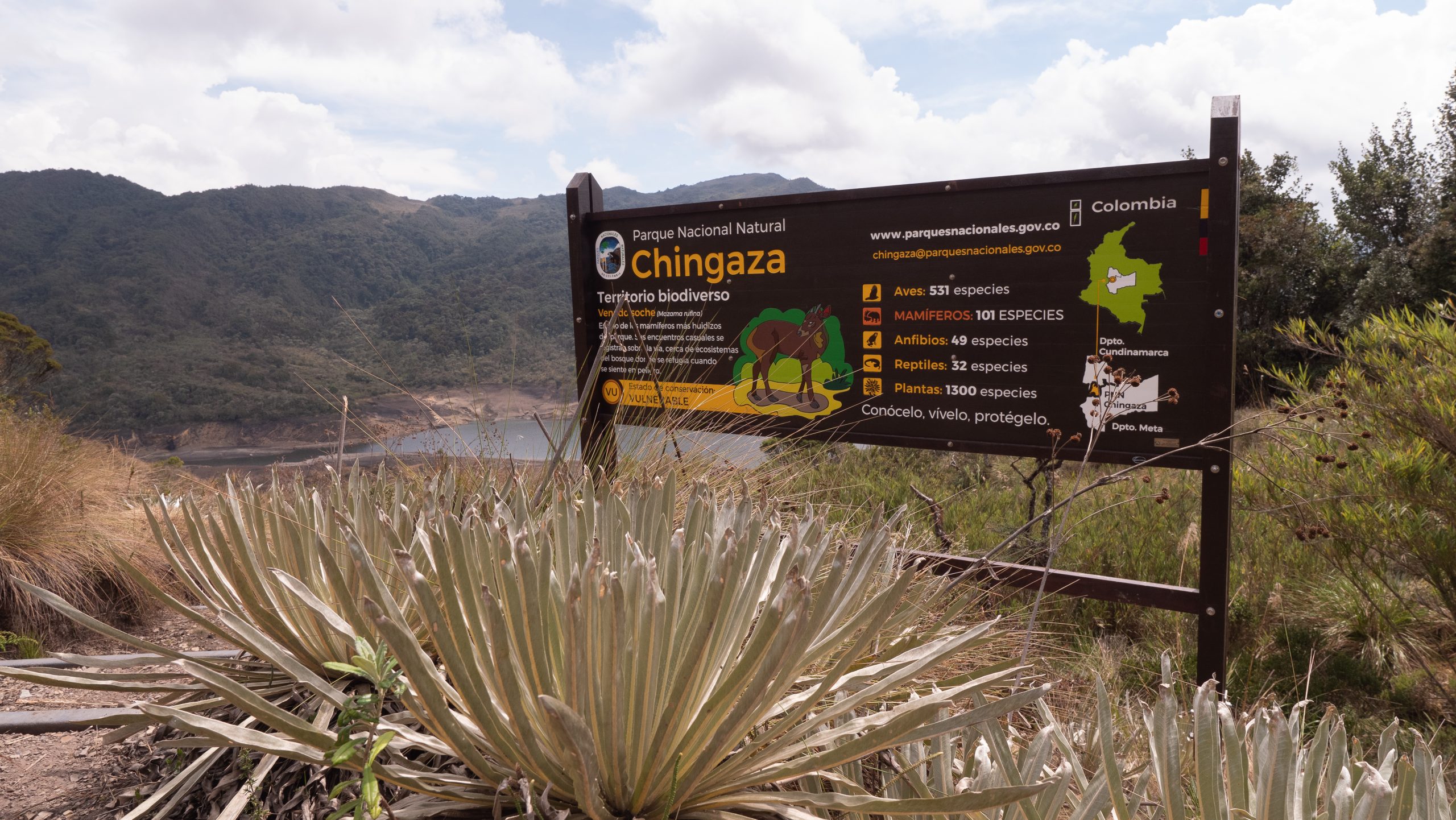Imagen noticia ‘Chingaza Fest’: El evento que une el deporte con la protección del páramo