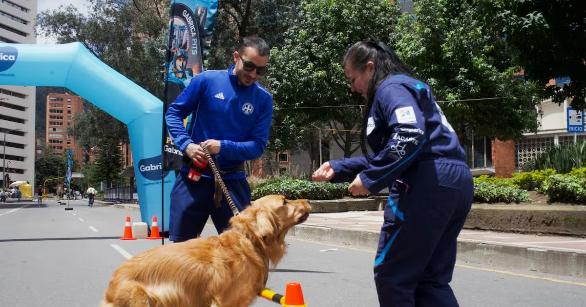 Imagen noticia Bogotá fortalece la Ciclovía con estaciones para el bienestar de las mascotas