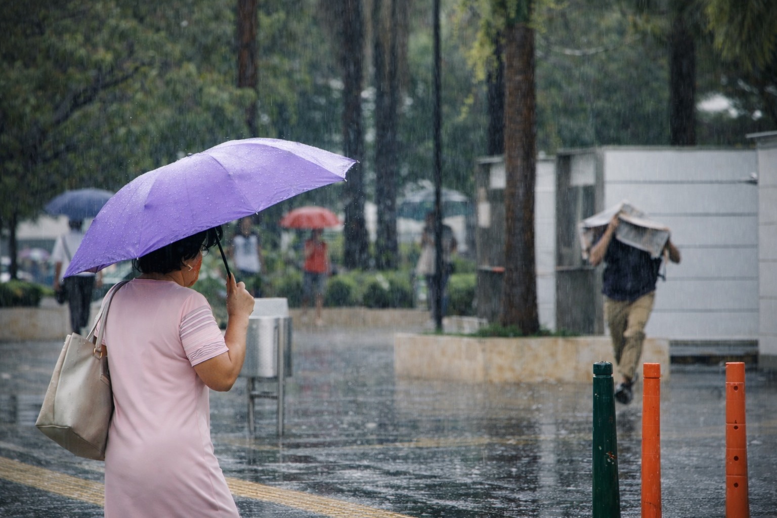 Imagen noticia Nueva app del Ideam permitirá consultar alertas y el clima en tiempo real