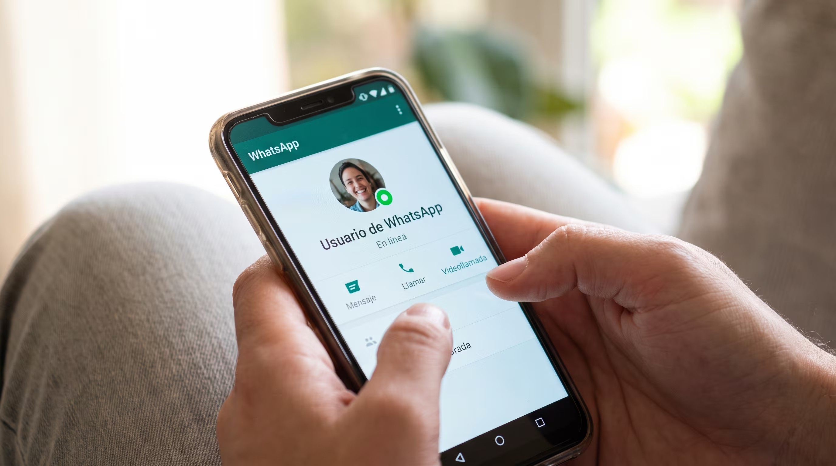 Imagen noticia Proteja su WhatsApp contra estafas digitales