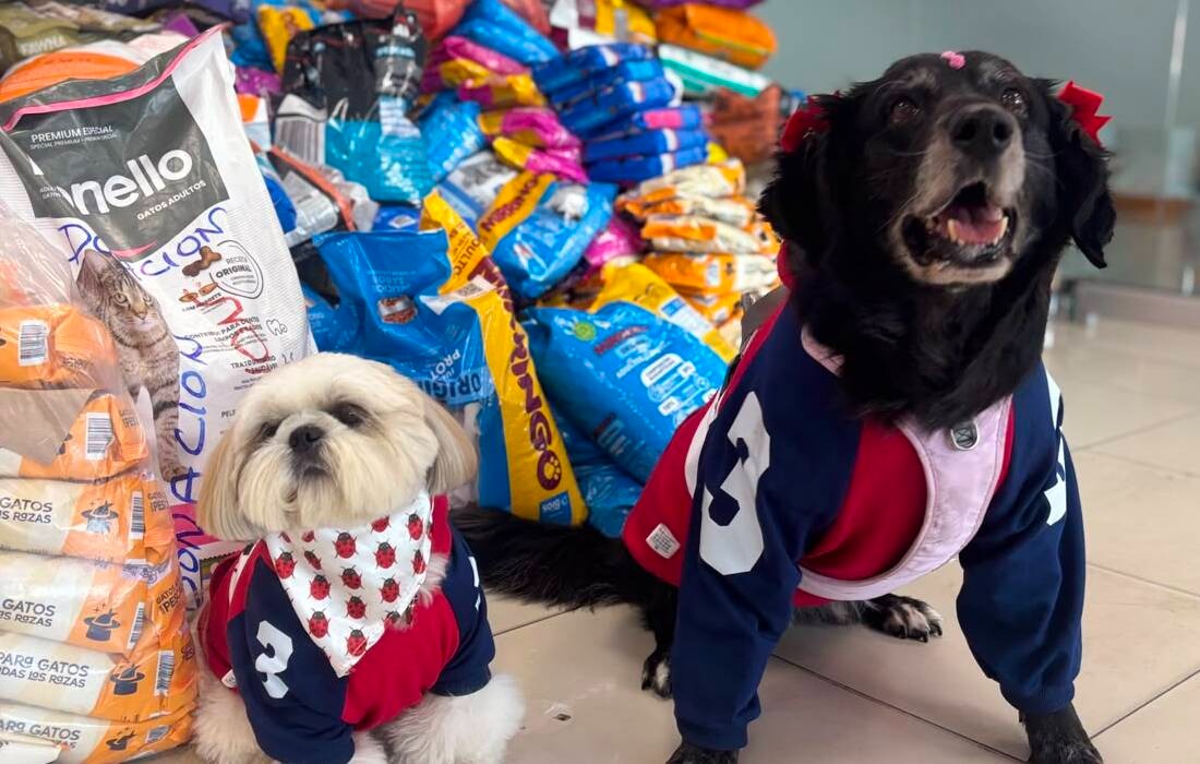 Imagen noticia Expopet 2026 cerró con 36 toneladas de ayuda para animales afectados