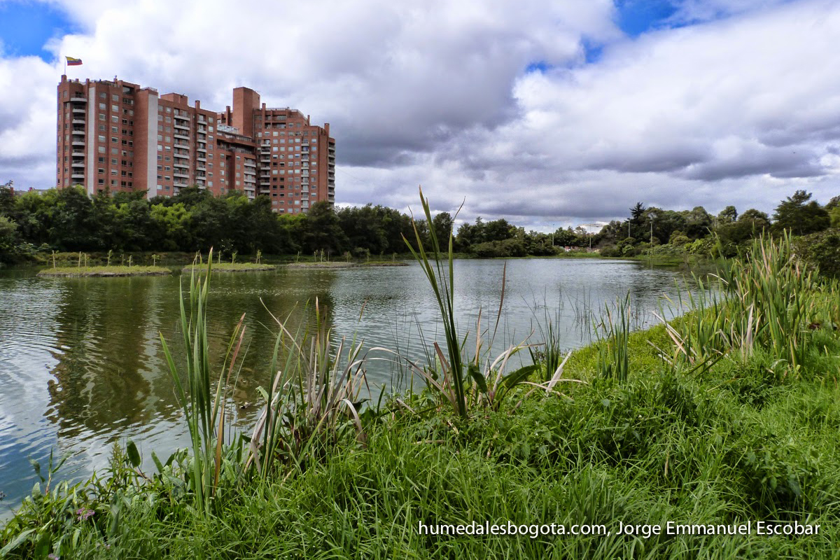 Imagen noticia Bogotá refuerza la protección de sus humedales ante los periodos secos