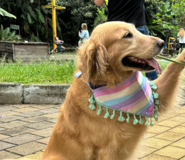 Foto: TeleMedellín