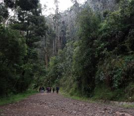 Foto: Acueducto de Bogotá