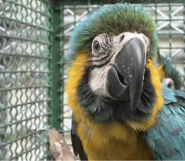 Foto: Secretaría de Ambiente