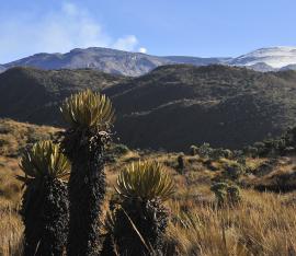 Foto: Ecomontaña 