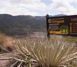 Foto: Parques Nacionales Martin-Cicuamía-Suárez-scaled