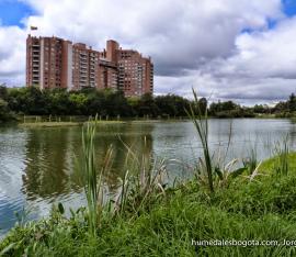 Foto: Humedales Bogotá