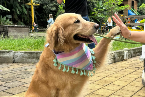 Foto: TeleMedellín