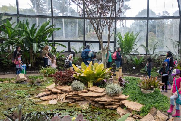 Foto: Alcaldía Mayor de Bogotá