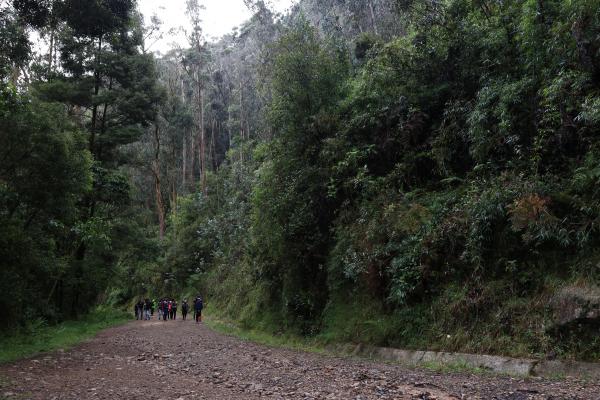 Foto: Acueducto de Bogotá
