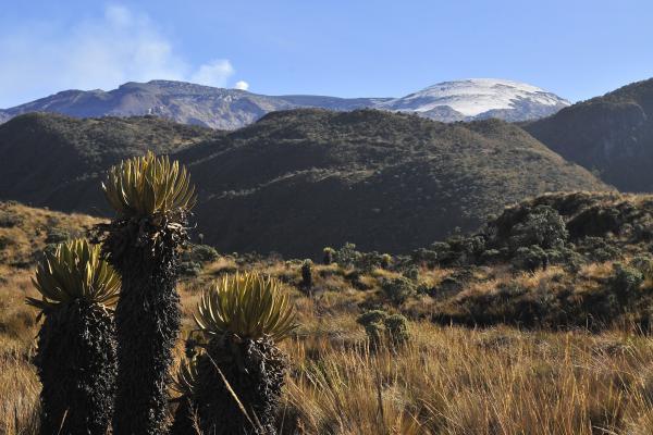 Foto: Ecomontaña 
