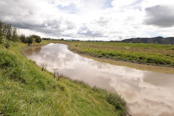 Foto: Secretaría de Ambiente de Bogotá