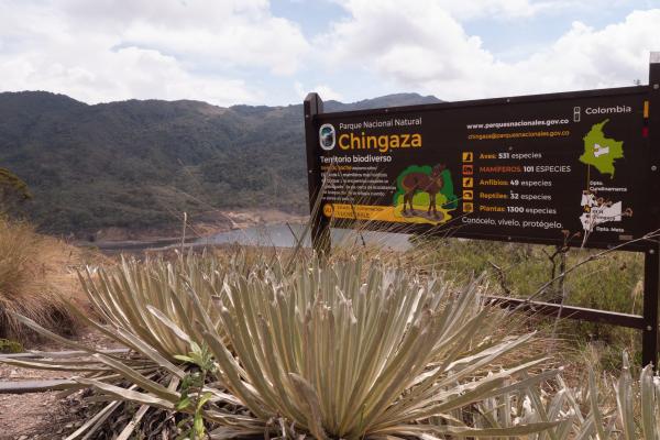 Foto: Parques Nacionales Martin-Cicuamía-Suárez-scaled