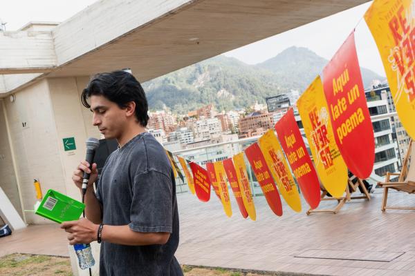 Foto: Prensa 'Reverso Bogotá'.