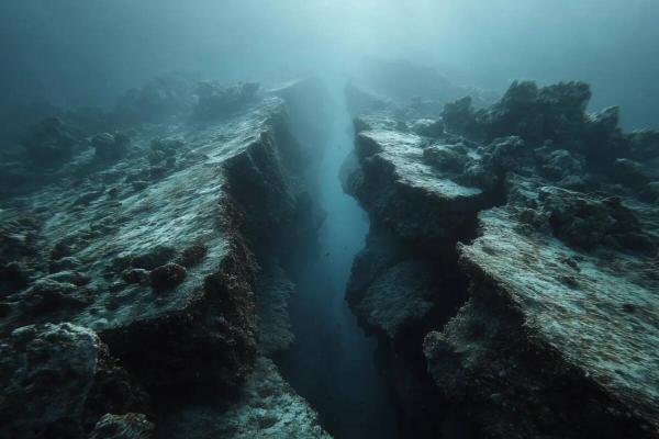 Foto: Archivoscience-elheraldo