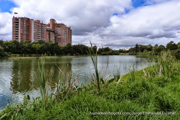 Foto: Humedales Bogotá