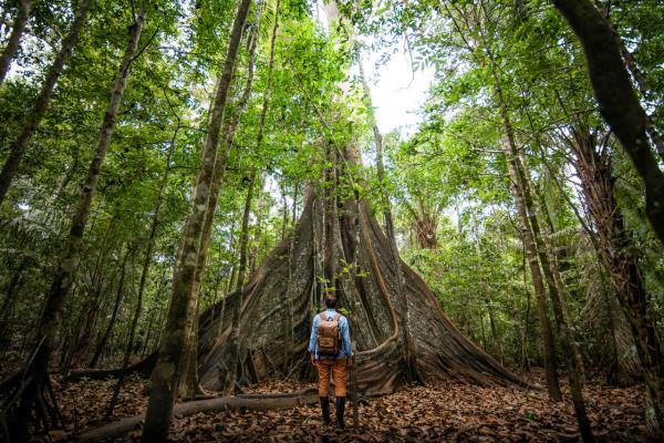 Foto:  Marina/Stock/National Geographic